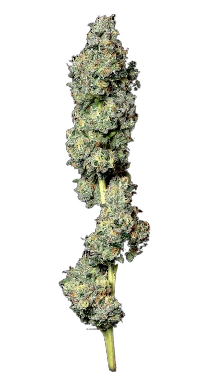 Bruce Banner, Hybrid