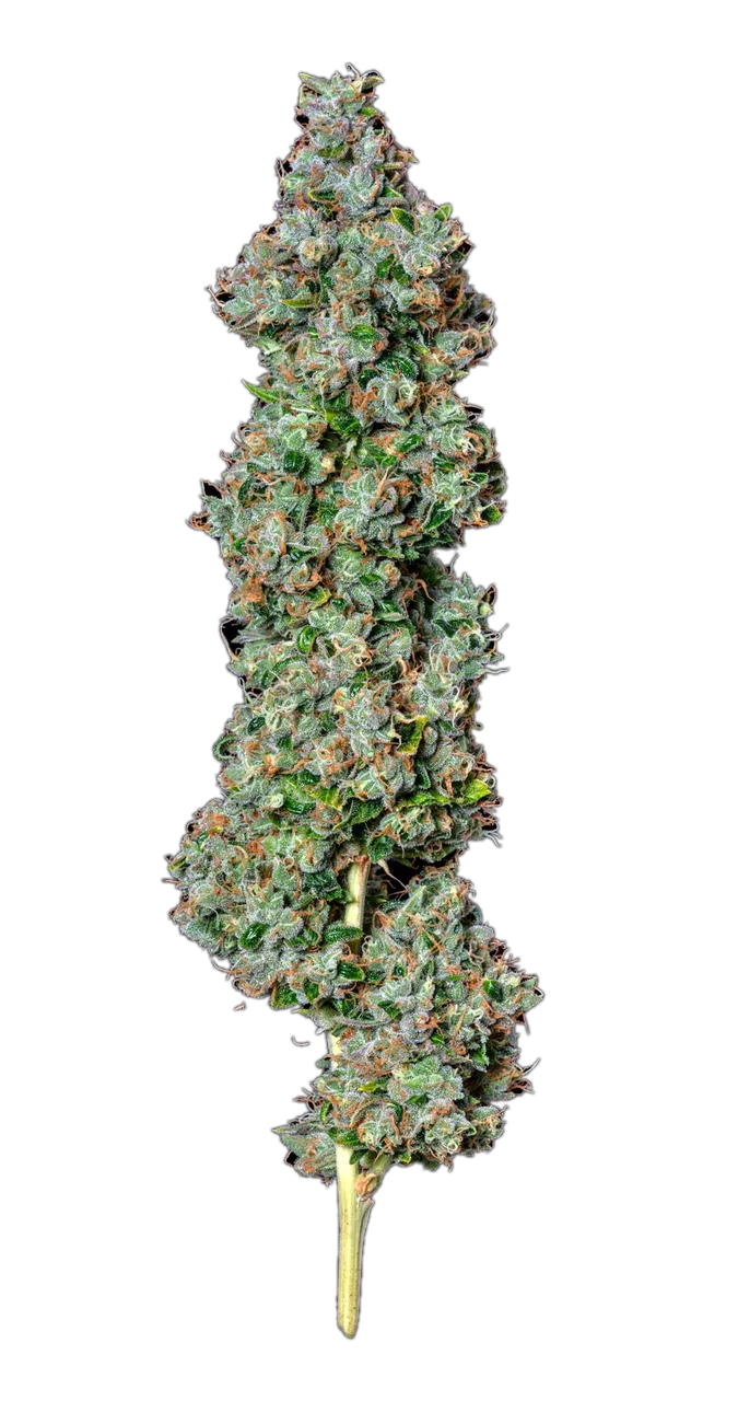 Chemdawg, Hybrid