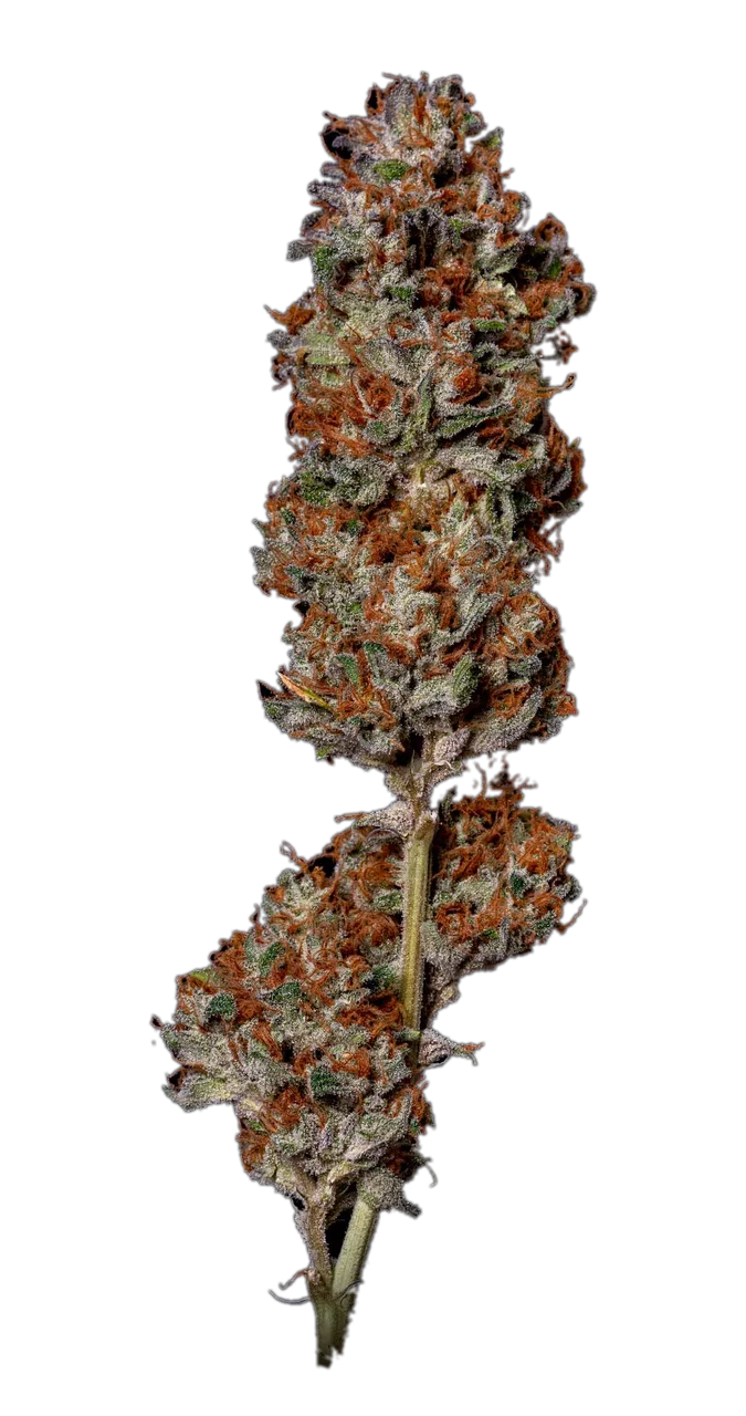 Hell's OG, Hybrid